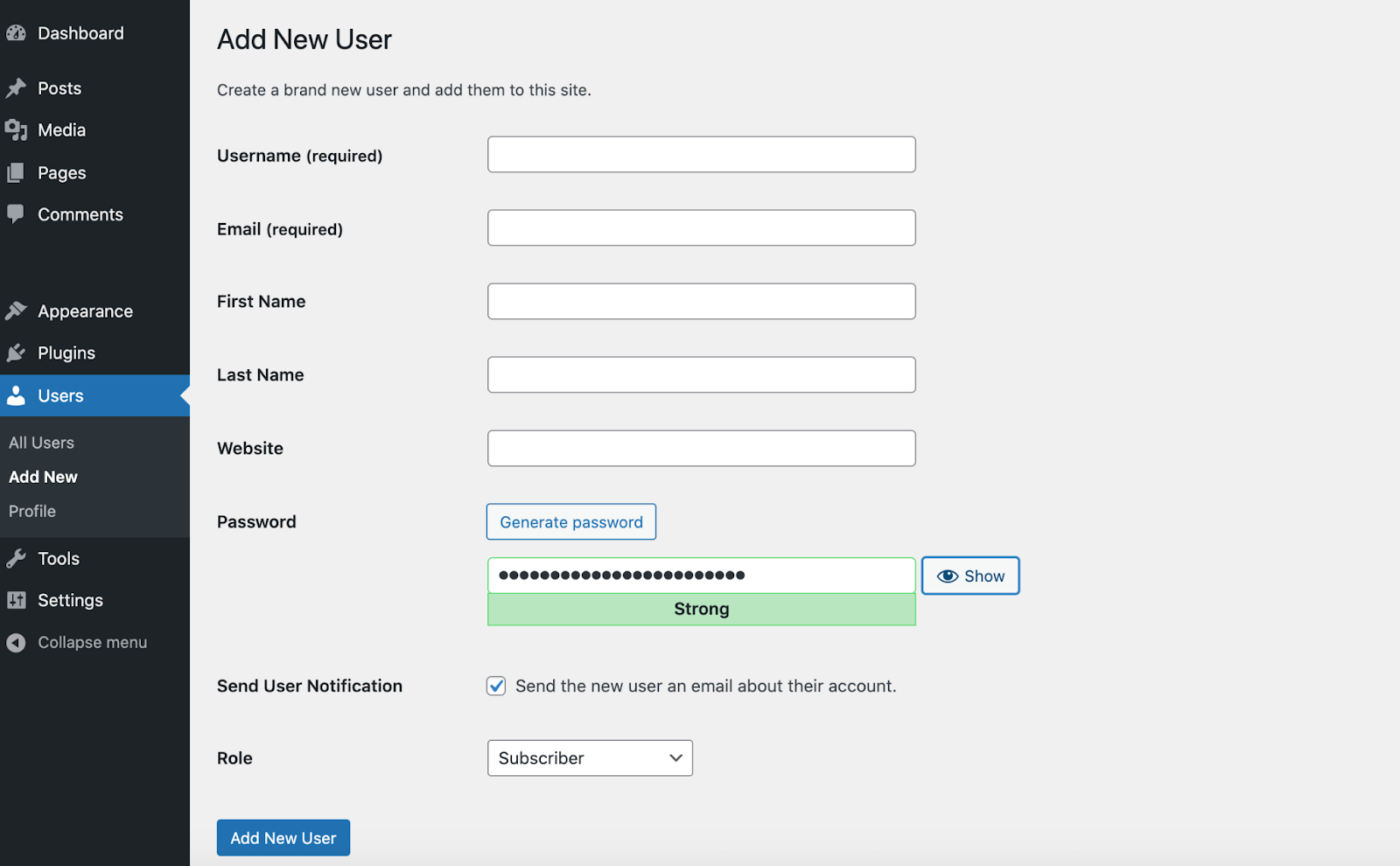 adding a new user in WordPress