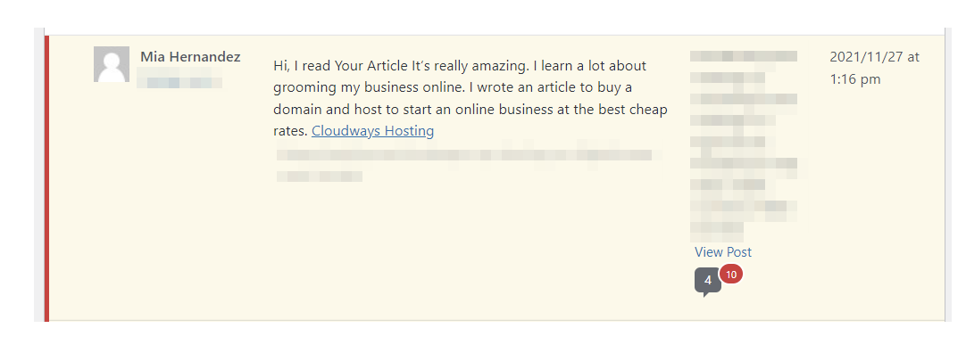 example of a spam comment on a website4