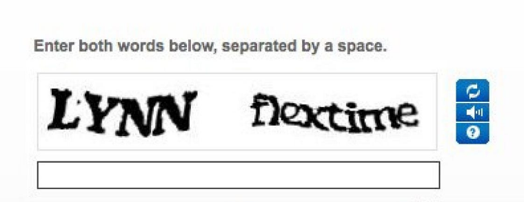 CAPTCHA with instructions on entering two words